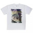 【Tシャツ】チヌ(クロダイ)　12カラーズ