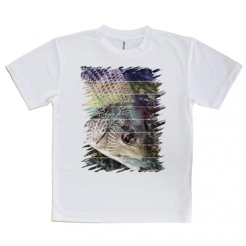 【Tシャツ】チヌ(クロダイ) 12カラーズ