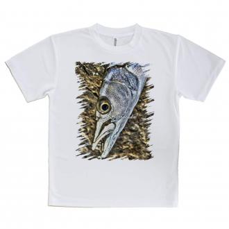 【Tシャツ】カマスの目