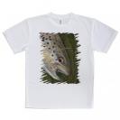 【Tシャツ】ブラウントラウトの目