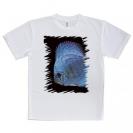 【Tシャツ】ディスカス　ブルー