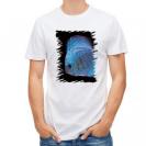 【Tシャツ】ディスカス　ブルー