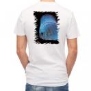 【Tシャツ】ディスカス　ブルー