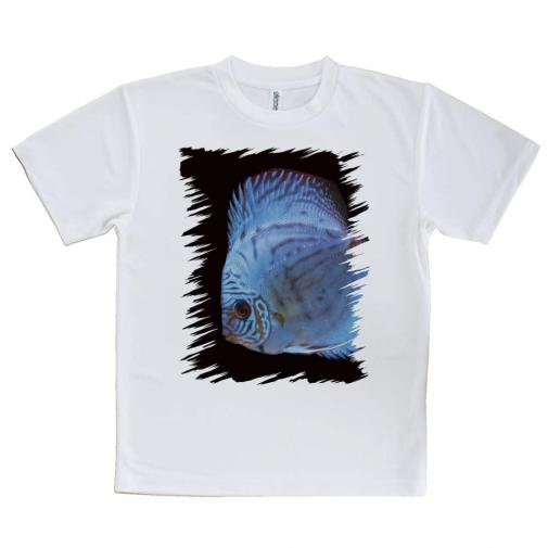 【Tシャツ】ディスカス　ブルー