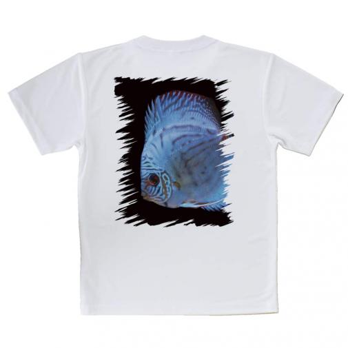 【Tシャツ】ディスカス　ブルー