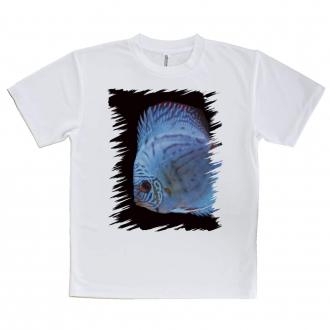 【Tシャツ】ディスカス　ブルー