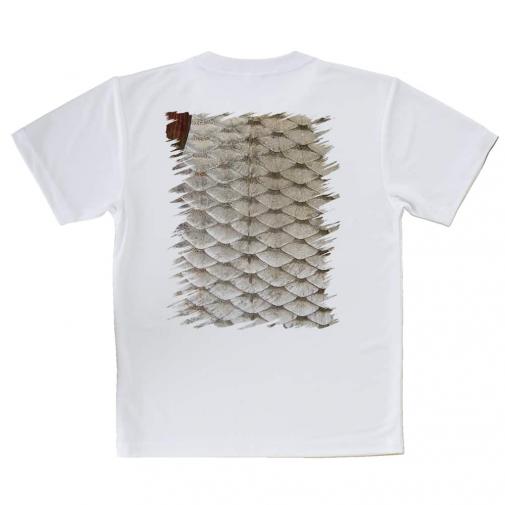 【Tシャツ】ローチのウロコ