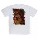 【Tシャツ】アオリイカ　鉄錆