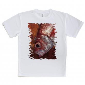 【Tシャツ】アカムツ(ロージーシーバス)