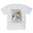 【Tシャツ】昼寝する猫(ネコ)