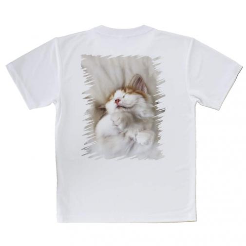 【Tシャツ】昼寝する猫(ネコ)