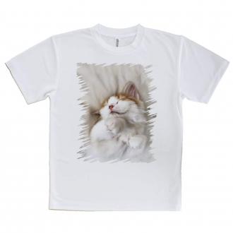【Tシャツ】昼寝する猫(ネコ)