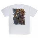 【Tシャツ】カサゴのハンドランディング