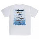 【Tシャツ】サメ・シャーク・鮫　鮫の種類