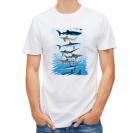 【Tシャツ】サメ・シャーク・鮫　鮫の種類