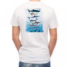 【Tシャツ】サメ・シャーク・鮫　鮫の種類