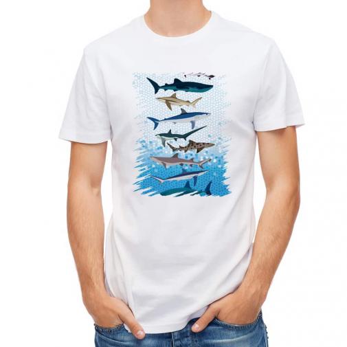 【Tシャツ】サメ・シャーク・鮫　鮫の種類