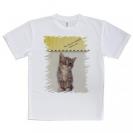 【Tシャツ】kitten sits　座る子猫