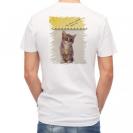 【Tシャツ】kitten sits　座る子猫