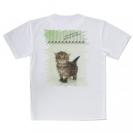 【Tシャツ】生後20日の可愛い子猫　イラスト