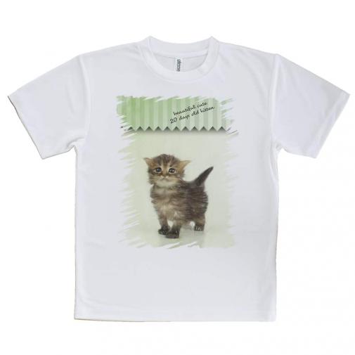 【Tシャツ】生後20日の可愛い子猫　イラスト