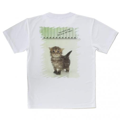 【Tシャツ】生後20日の可愛い子猫　イラスト