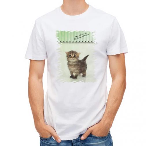 【Tシャツ】生後20日の可愛い子猫　イラスト