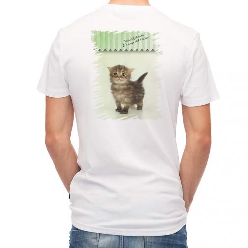 【Tシャツ】生後20日の可愛い子猫　イラスト