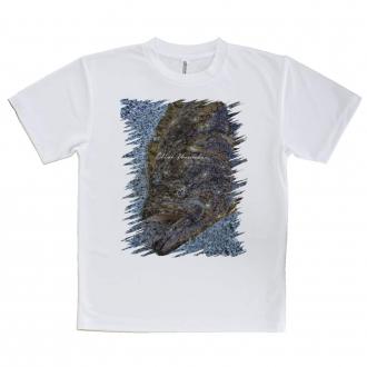 【Tシャツ】砂の王者・ヒラメ
