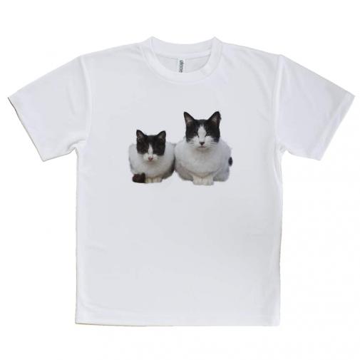 【Tシャツ】シロクロ二匹