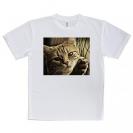 【Tシャツ】ビンテージな猫