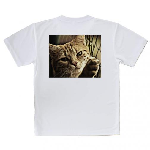 【Tシャツ】ビンテージな猫