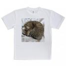 【Tシャツ】ニャンモナイト