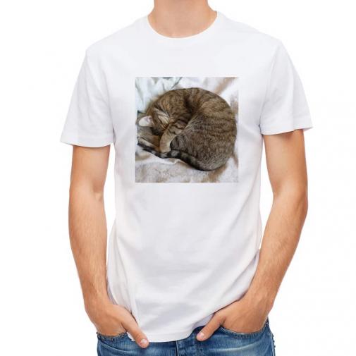 【Tシャツ】ニャンモナイト