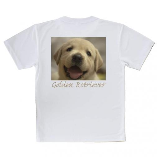 【Tシャツ】ゴールデンレトリバーの子犬
