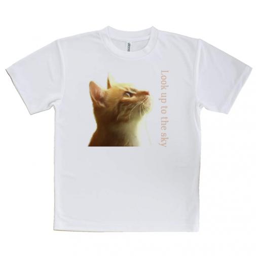 【Tシャツ】天を仰ぐ猫
