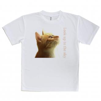 【Tシャツ】天を仰ぐ猫