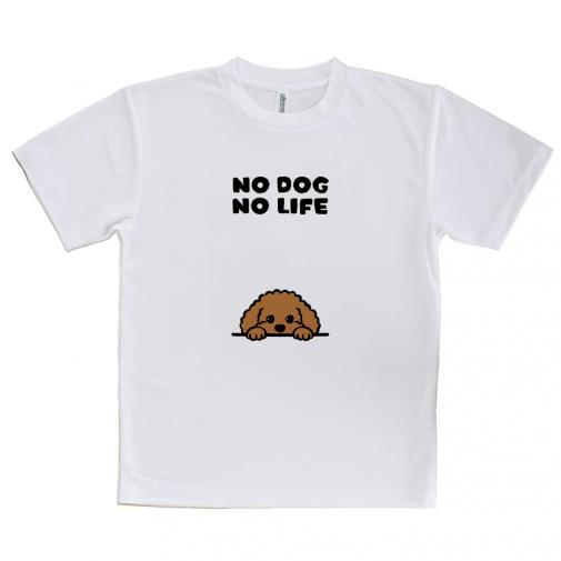 【Tシャツ】何か気になるプードル_ブラウン(wakat)