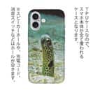 【TPU】チンアナゴ