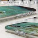 【TPU】チンアナゴ