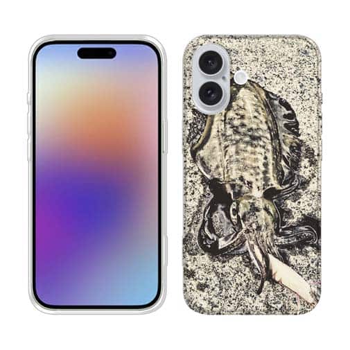 【TPU】エギングでアオリイカ