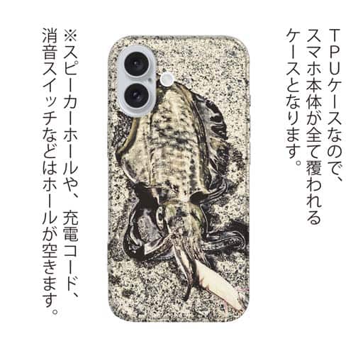 【TPU】エギングでアオリイカ