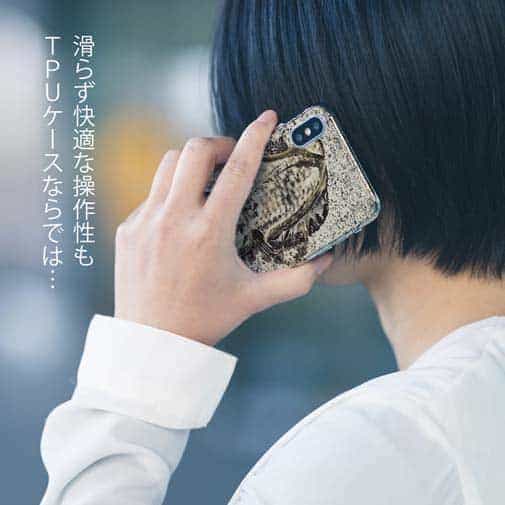 【TPU】エギングでアオリイカ