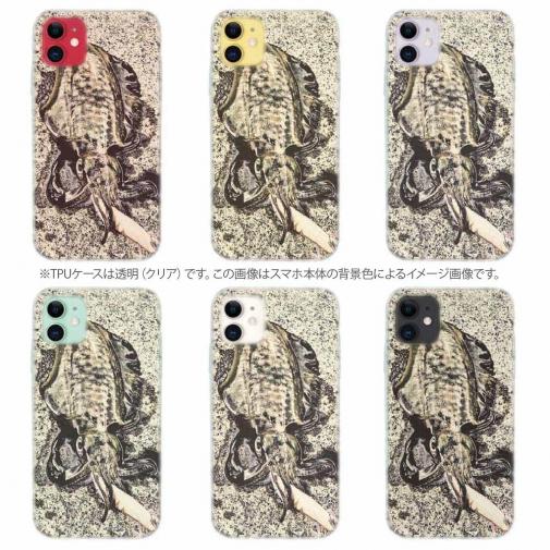 【TPU】エギングでアオリイカ