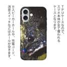 【TPU】銀鱗クロダイ