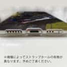 【TPU】銀鱗クロダイ