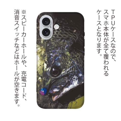 【TPU】銀鱗クロダイ