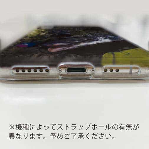 【TPU】銀鱗クロダイ