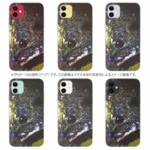 【TPU】銀鱗クロダイ