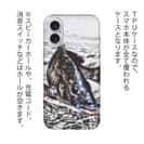 【TPU】精悍なクロダイ(チヌ)